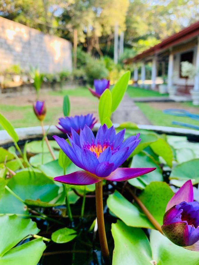Lal Home Stay Sigiriya Exterior photo